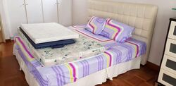Blk 932 TAMPINES PALMSPRING (Tampines), HDB 5 Rooms #590667211